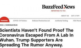 武汉新冠病毒最新爆料,揭秘疫情背后的真相与挑战