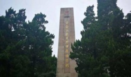 南京博物院爆料案件最新,揭秘背后惊心动魄的真相