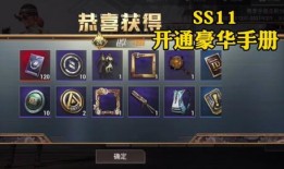 ss9赛季最新爆料手册,揭秘新赛季精彩看点与战术解析