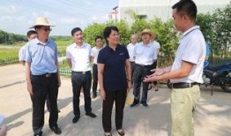 海南儋州爆料新闻最新,事件详情引关注