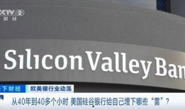 硅谷银行最新爆料,揭秘科技巨头融资内幕