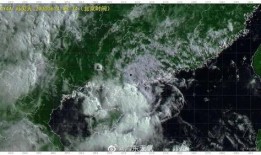 台风鹦鹉最新爆料,最新动态及防范措施全解析”