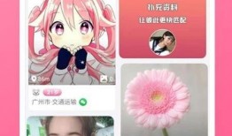 爆料跳单视频大全最新下载,最新爆料视频大全下载解析