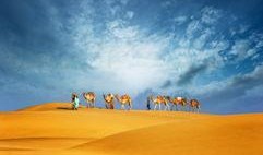 最新沙漠爆料新闻报道视频,揭秘神秘古文明遗址的震撼揭秘