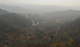 莱芜大山爆料最新消息,揭秘神秘事件背后的真相