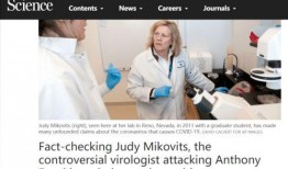 武汉新冠病毒最新爆料,揭秘疫情背后的真相与挑战