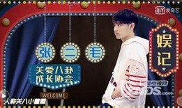 娱乐圈大爆料最新的小说,揭秘明星背后的秘密与真相