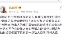 陈翔芒果最新爆料,揭秘娱乐圈不为人知的幕后故事