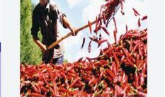 酒泉媒体爆料最新消息,重大事件引发社会关注！