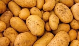 土豆最新爆料配方,独家爆料最新神奇配方，烹饪新境界！