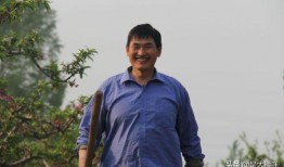 陈飞爆料截图图片大全最新,揭秘娱乐圈不为人知的幕后真相