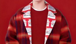 肖战的百威最新爆料,揭秘百威品牌背后的故事与情感共鸣”