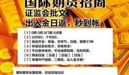 香港期货最新爆料真假,揭秘真相与谣言交织的金融风云”