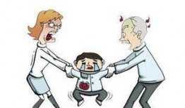 石家庄爆料小孩事件最新,悲剧背后的小孩事件引发社会关注