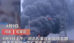 阜宁最新爆料事件视频曝光,事件视频曝光，真相渐浮水面