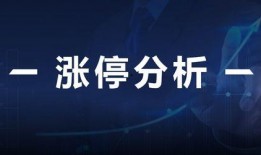 最新经济爆料新闻,最新爆料揭示市场变革趋势
