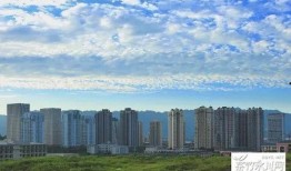 重庆最新爆料,揭秘山城神秘事件背后的真相