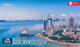 青岛爆料最新新闻联播,聚焦城市发展与民生改善成果