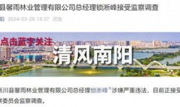 玉圭园最新爆料视频大全,揭秘神秘古园的奇幻之旅