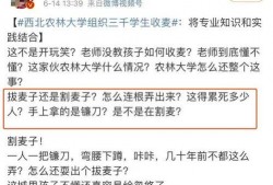 西北农林爆料事件最新消息,最新进展及影响揭秘”