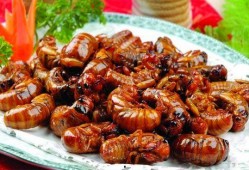 扒鸡最新活动爆料图片,揭秘最新活动亮点，抢鲜体验美味盛宴！