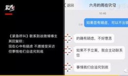 国内最新事件爆料视频大全,视频爆料大全深度解析