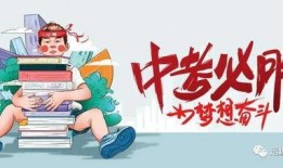 福宝最新事情爆料视频大全,视频大全揭秘幕后真相
